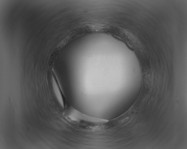 X0000082930221200702222228