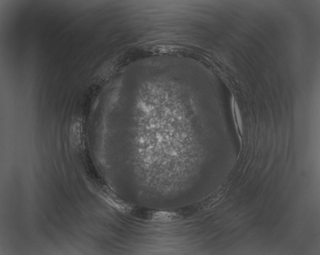 X0000082930222200702222228