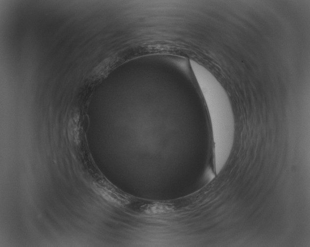 X0000082930223200702222228