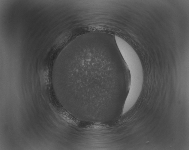 X0000082930224200702222228