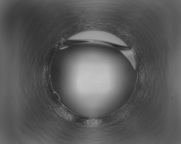 X0000082930225200702222228