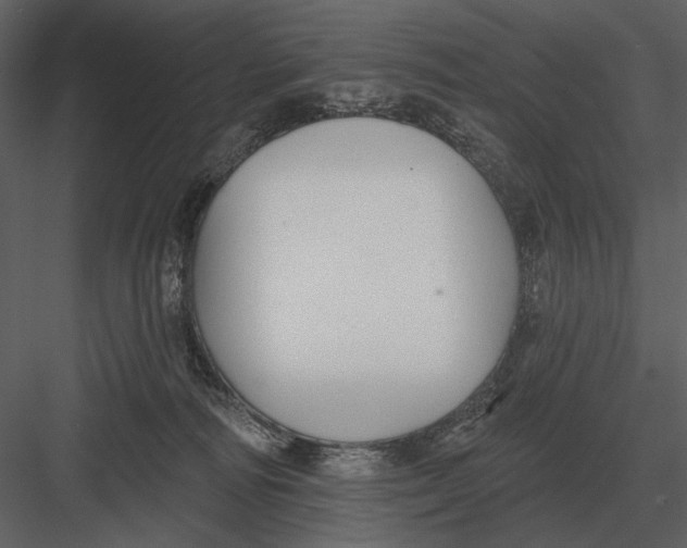 X0000082930226200702222228