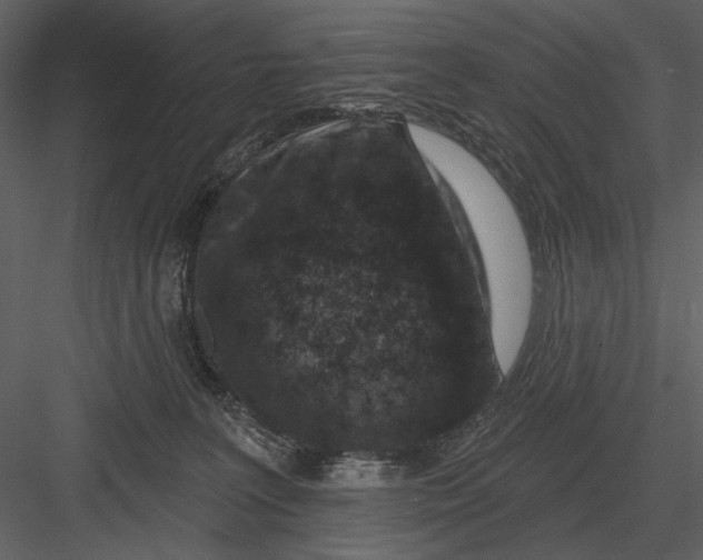 X0000082930227200702222228