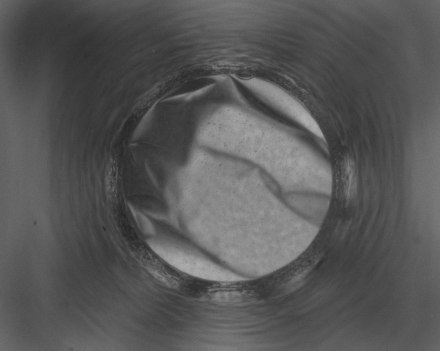 X0000082930228200702222228