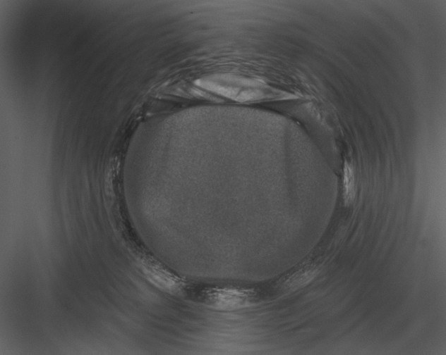 X0000082930229200702222228