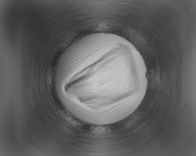 X0000082930230200702222228