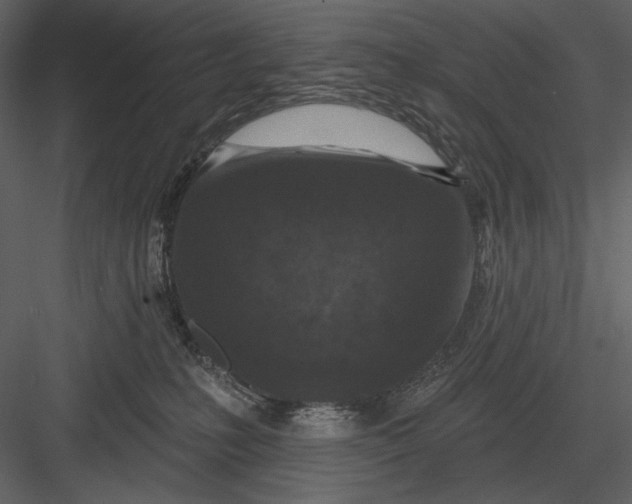 X0000082930231200702222228