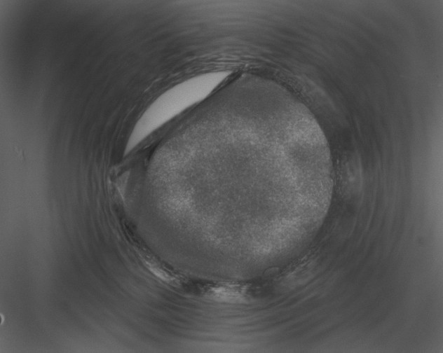 X0000082930232200702222228