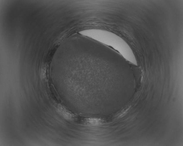 X0000082930233200702222228