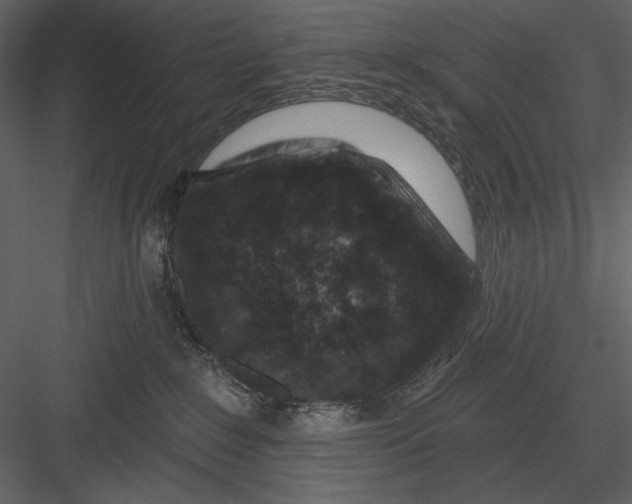 X0000082930235200702222228