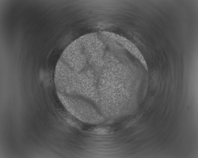 X0000082930236200702222228