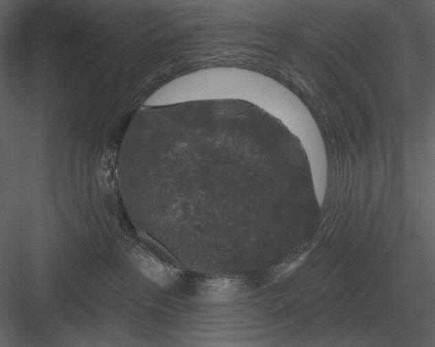 X0000082930237200702222228