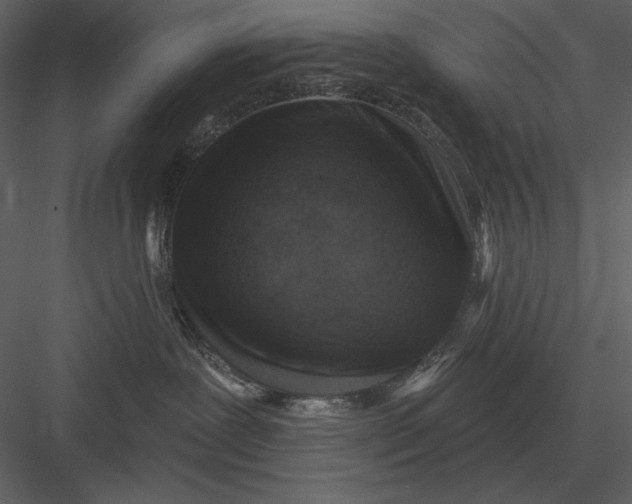 X0000082930239200702222228