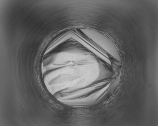 X0000082930241200702222227