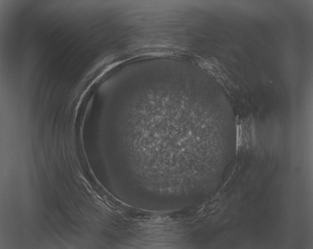 X0000082930243200702222227