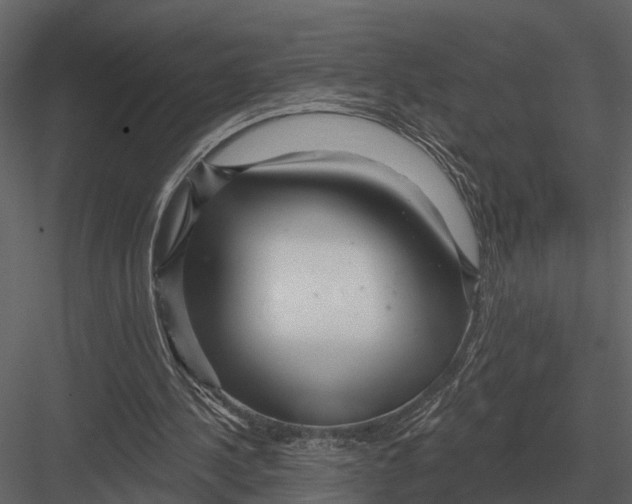 X0000082930244200702222227