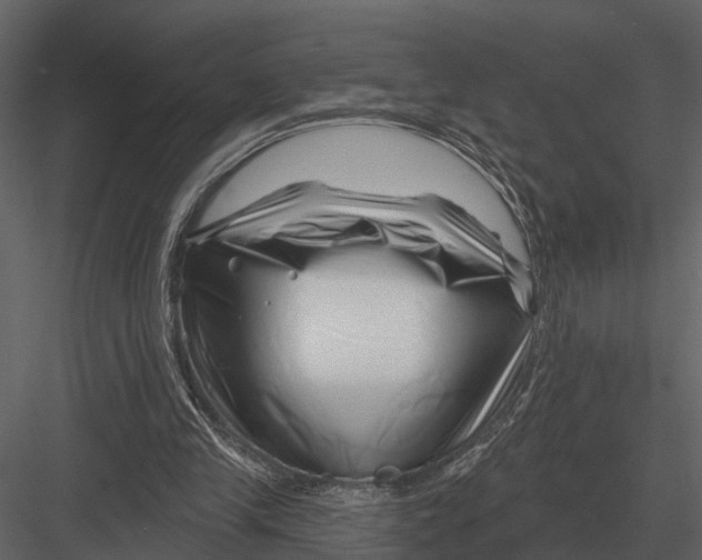 X0000082930245200702222227