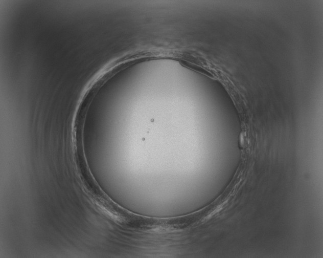 X0000082930246200702222227