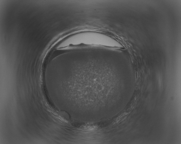 X0000082930247200702222227