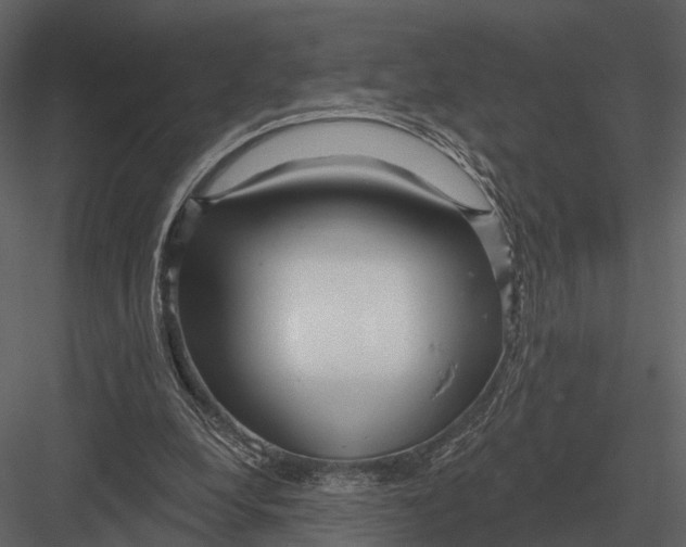 X0000082930248200702222227