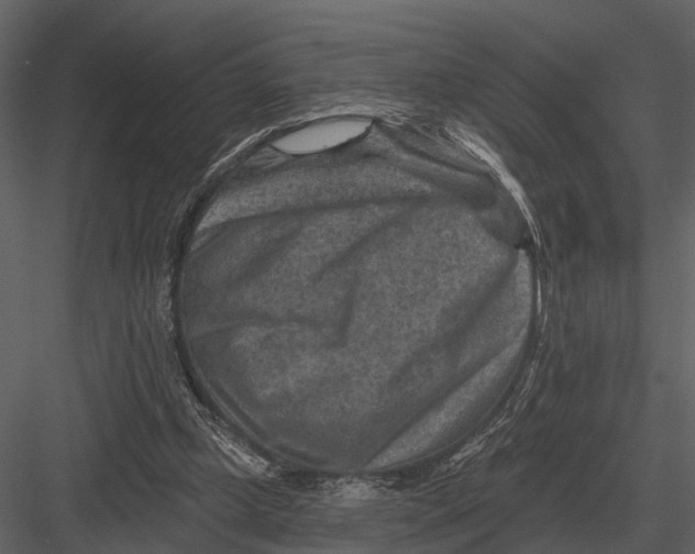 X0000082930249200702222227