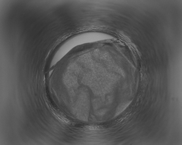 X0000082930250200702222227