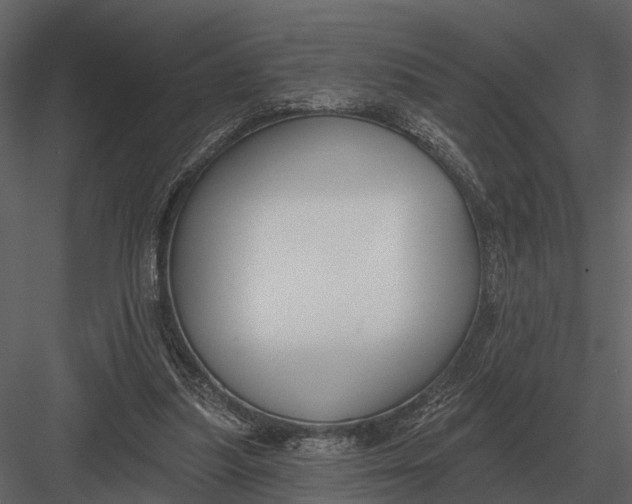 X0000082930251200702222227