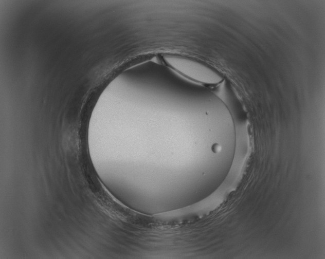 X0000082930252200702222227