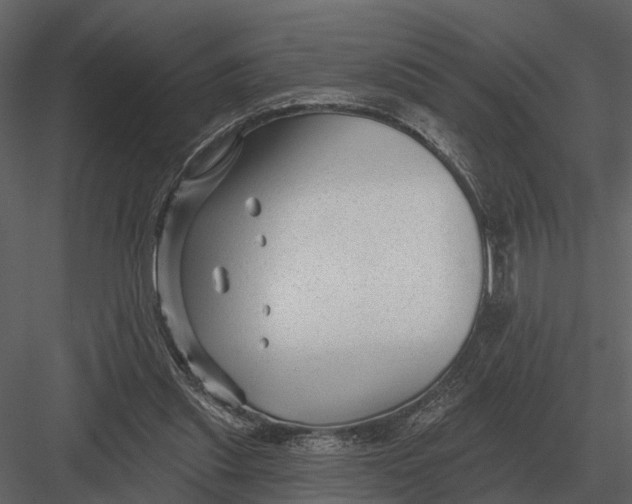 X0000082930253200702222227