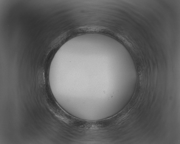 X0000082930254200702222227