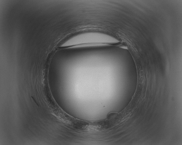 X0000082930255200702222227