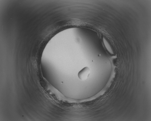 X0000082930256200702222227