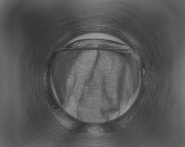 X0000082930258200702222227