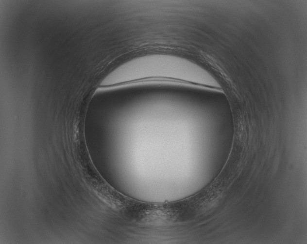 X0000082930259200702222227