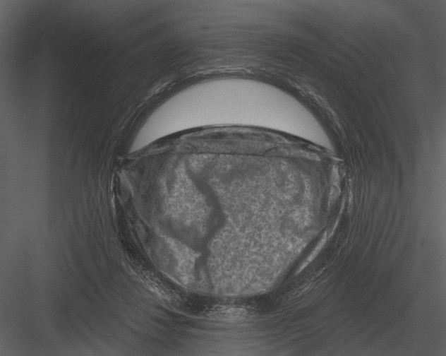 X0000082930260200702222227