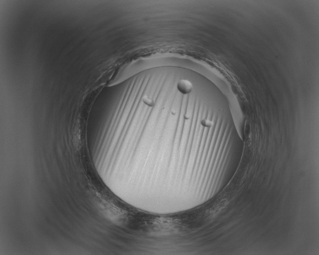 X0000082930261200702222227