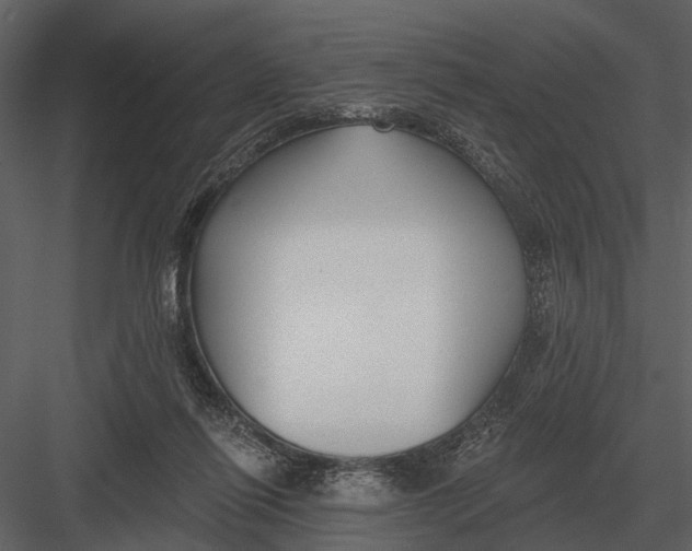 X0000082930262200702222227