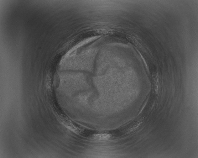 X0000082930266200702222227