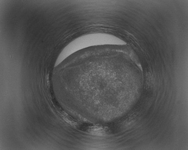 X0000082930267200702222227