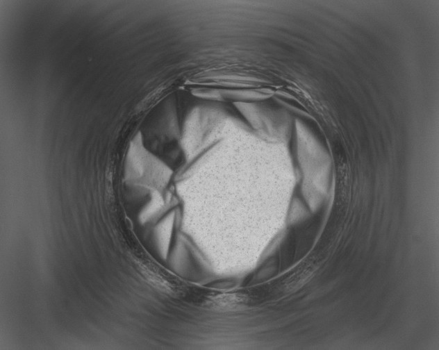 X0000082930269200702222227