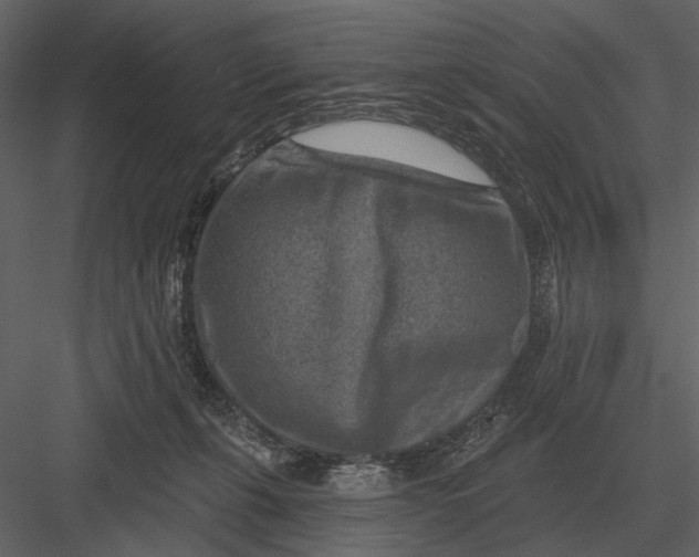 X0000082930271200702222227