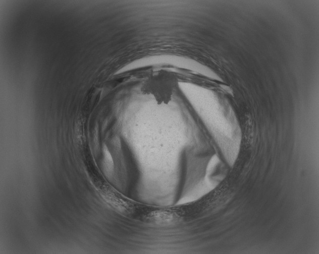 X0000082930272200702222227