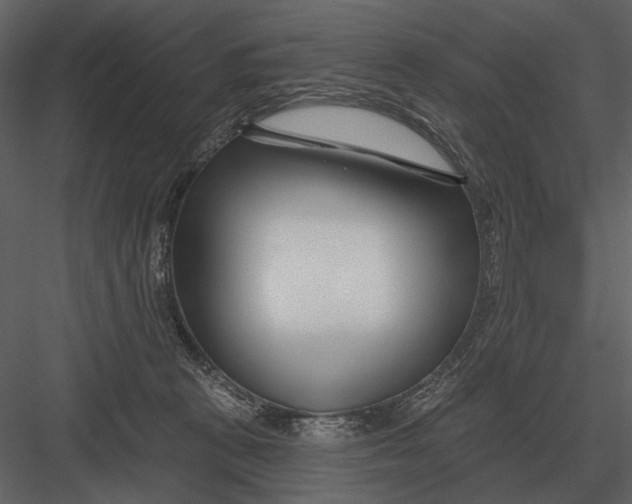 X0000082930273200702222227