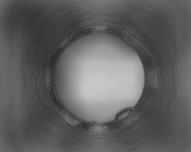 X0000082930274200702222227