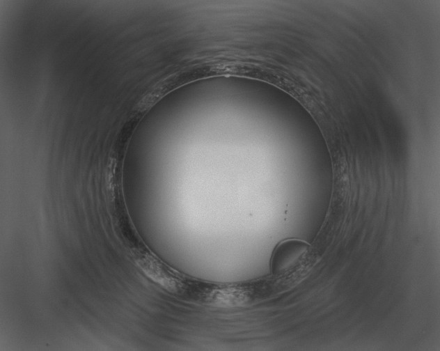 X0000082930275200702222227