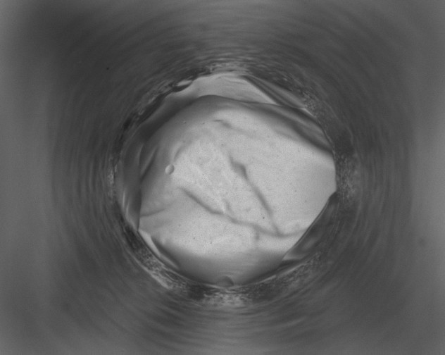 X0000082930276200702222227