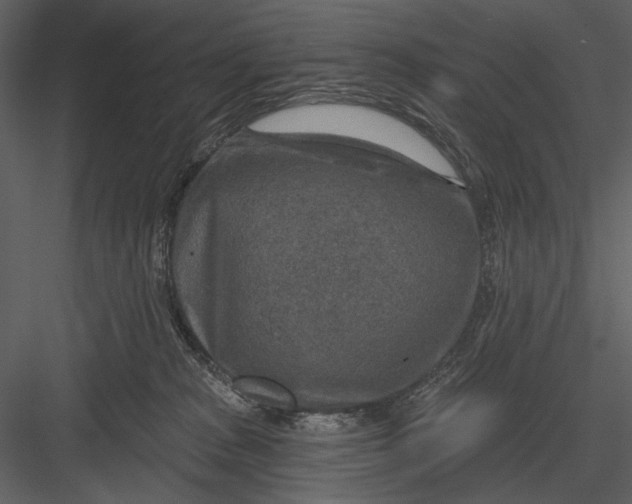 X0000082930277200702222227