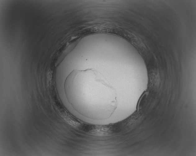 X0000082930278200702222227