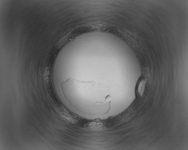 X0000082930279200702222227