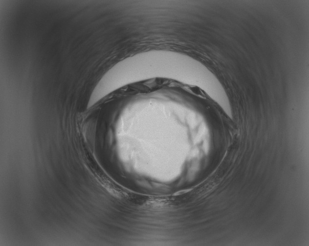 X0000082930280200702222227